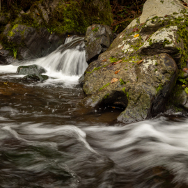 20221114-115741-Canon-EOS-R5-_-23-mm-_-1-10-Sek.-bei-f-80-_-ISO-100