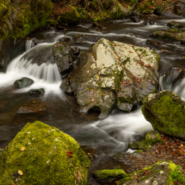 20221114-120804-Canon-EOS-R5-_-35-mm-_-10-Sek.-bei-f-16-_-ISO-100