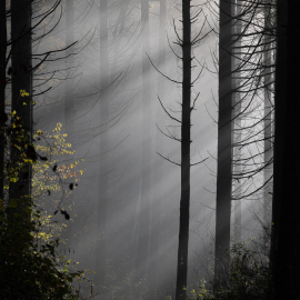 20221115-102404-Canon-EOS-R5-_-182-mm-_-1-40-Sek.-bei-f-80-_-ISO-100