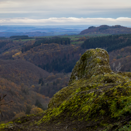 20221115-171211-Canon-EOS-R5-_-111-mm-_-1-6-Sek.-bei-f-80-_-ISO-100