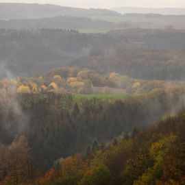 20221116-102518-Canon-EOS-R5-_-186-mm-_-1-200-Sek.-bei-f-50-_-ISO-100