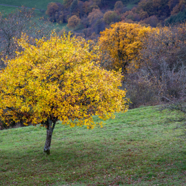 20221116-114918-Canon-EOS-R5-_-100-mm-_-1-200-Sek.-bei-f-45-_-ISO-100