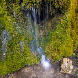 20221117-114859-Canon-EOS-R5-_-15-mm-_-10-Sek.-bei-f-22-_-ISO-100