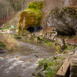 20221117-121644-Canon-EOS-R5-_-35-mm-_-1-6-Sek.-bei-f-16-_-ISO-400