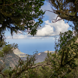 20230205-163644-Canon-EOS-R7-_-18-mm-_-1-8000-Sek.-bei-f-35-_-ISO-100