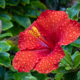 20230209-175553-Canon-EOS-R5-_-135-mm-_-1-13-Sek.-bei-f-16-_-ISO-400