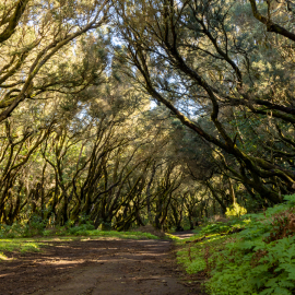 20230212-123934-Canon-EOS-R7-_-18-mm-_-1-80-Sek.-bei-f-80-_-ISO-250