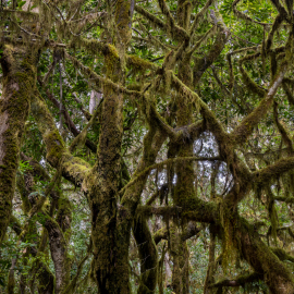 20230212-135249-Canon-EOS-R7-_-24-mm-_-1-30-Sek.-bei-f-80-_-ISO-100