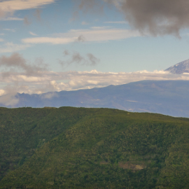 20230212-142517-Canon-EOS-R7-_-84-mm-_-1-400-Sek.-bei-f-80-_-ISO-100