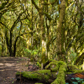 20230212-144335-Canon-EOS-R7-_-18-mm-_-1-25-Sek.-bei-f-16-_-ISO-400