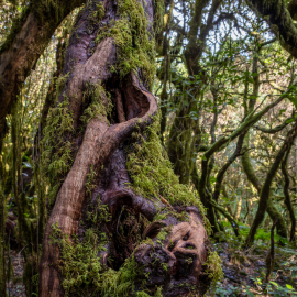 20230212-145911-Canon-EOS-R7-_-18-mm-_-1-60-Sek.-bei-f-80-_-ISO-500