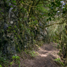 20230212-151350-Canon-EOS-R7-_-18-mm-_-1-60-Sek.-bei-f-80-_-ISO-250