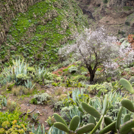 20230212-181918-Canon-EOS-R7-_-24-mm-_-1-100-Sek.-bei-f-45-_-ISO-100