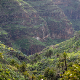 20230216-120909-Canon-EOS-R7-_-86-mm-_-1-400-Sek.-bei-f-71-_-ISO-100