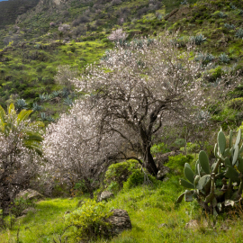 20230216-123111-Canon-EOS-R7-_-24-mm-_-1-200-Sek.-bei-f-14-_-ISO-100