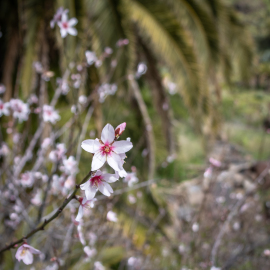 20230216-125044-Canon-EOS-R7-_-18-mm-_-1-8000-Sek.-bei-f-35-_-ISO-400