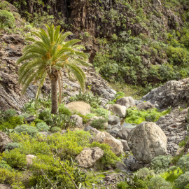 20230216-130316-Canon-EOS-R7-_-66-mm-_-1-400-Sek.-bei-f-80-_-ISO-400