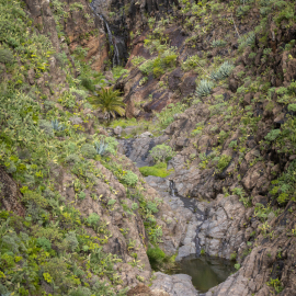 20230216-130605-Canon-EOS-R7-_-50-mm-_-1-320-Sek.-bei-f-80-_-ISO-400