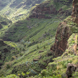 20230216-133831-Canon-EOS-R7-_-24-mm-_-1-200-Sek.-bei-f-80-_-ISO-400