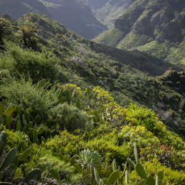 20230218-121850-Canon-EOS-R7-_-31-mm-_-1-400-Sek.-bei-f-80-_-ISO-100