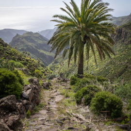 20230218-130521-Canon-EOS-R7-_-18-mm-_-1-640-Sek.-bei-f-80-_-ISO-100