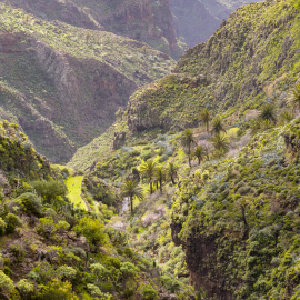 20230218-130641-Canon-EOS-R7-_-70-mm-_-1-80-Sek.-bei-f-80-_-ISO-100