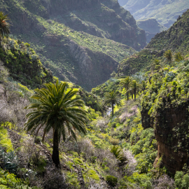 20230218-132405-Canon-EOS-R7-_-57-mm-_-1-640-Sek.-bei-f-80-_-ISO-100