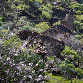 20230218-140342-Canon-EOS-R7-_-150-mm-_-1-100-Sek.-bei-f-80-_-ISO-100