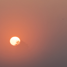 20230528-052658-Canon-EOS-R5-_-270-mm-_-1-320-Sek.-bei-f-14-_-ISO-800