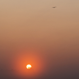 20230528-052739-Canon-EOS-R5-_-118-mm-_-1-320-Sek.-bei-f-14-_-ISO-800