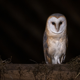 20230528-220458-Canon-EOS-R5-_-200-mm-_-1-10-Sek.-bei-f-28-_-ISO-1600