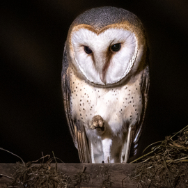 20230528-220708-Canon-EOS-R5-_-200-mm-_-1-10-Sek.-bei-f-28-_-ISO-2500