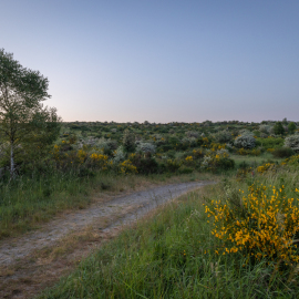 20230610-045636-Canon-EOS-R5-_-20-mm-_-1-5-Sek.-bei-f-80-_-ISO-100