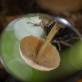 20230903-123829-Canon-EOS-R5-_-100-mm-_-1-80-Sek.-bei-f-28-_-ISO-800