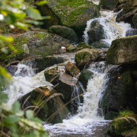 20231023-153846-Canon-EOS-R5-_-100-mm-_-1-640-Sek.-bei-f-80-_-ISO-10000