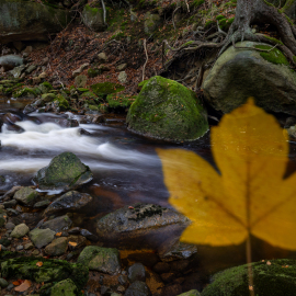 20231024-094957-Canon-EOS-R5-_-22-mm-_-2.0-Sek.-bei-f-80-_-ISO-100