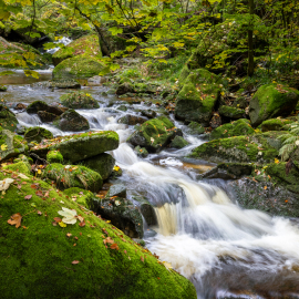 20231024-103458-Canon-EOS-R5-_-35-mm-_-1-4-Sek.-bei-f-80-_-ISO-800