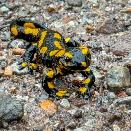 20231024-154416-iPhone-15-Pro-Max-_-6.86-mm-_-1-70-Sek.-bei-f-18-_-ISO-100