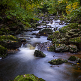 20231025-091600-Canon-EOS-R5-_-50-mm-_-5.0-Sek.-bei-f-22-_-ISO-100