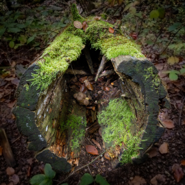 20231025-155427-Canon-EOS-R5-_-30-mm-_-3.2-Sek.-bei-f-22-_-ISO-100