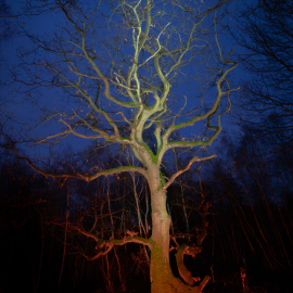 20240106-184252-Canon-EOS-R5-_-19-mm-_-30.0-Sek.-bei-f-16-_-ISO-6400