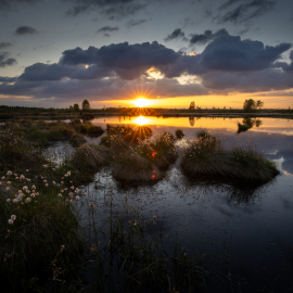 20250505-204055-Canon-EOS-R5-_-15-mm-_-1-200-Sek.-bei-f-11-_-ISO-1000