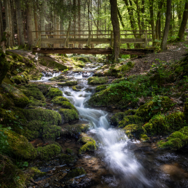 20250506-141308-Canon-EOS-R5-_-21-mm-_-0.5-Sek.-bei-f-16-_-ISO-100