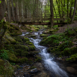 20250506-142010-Canon-EOS-R5-_-19-mm-_-0.5-Sek.-bei-f-16-_-ISO-125