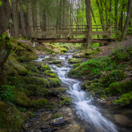 20250506-142010-Canon-EOS-R5-_-19-mm-_-0.5-Sek.-bei-f-16-_-ISO-125