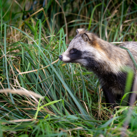 20250919-175653-Canon-EOS-R5-_-277-mm-_-1-200-Sek.-bei-f-71-_-ISO-1000