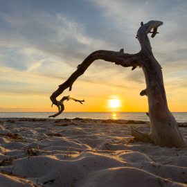 20250926-184040-iPhone-15-Pro-Max-_-6.76-mm-_-1-4000-Sek.-bei-f-18-_-ISO-100