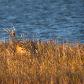 20250927-183123-Canon-EOS-R7-_-1600-mm-_-1-500-Sek.-bei-f-18-_-ISO-5000